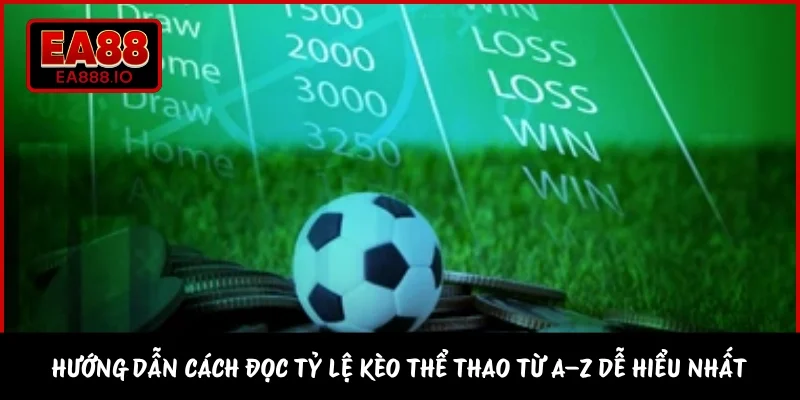 Hướng Dẫn Cách Đọc Tỷ Lệ Kèo Thể Thao Từ A–Z Dễ Hiểu Nhất 